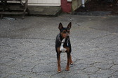 Enlarge photo 6