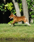 Enlarge photo 2