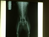 Enlarge photo 21