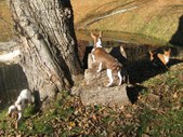 Enlarge photo 5