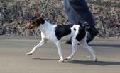 Enlarge photo 15