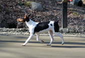 Enlarge photo 14