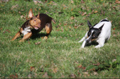Enlarge photo 11