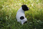 Enlarge photo 18