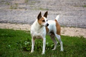Enlarge photo 23