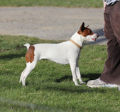 Enlarge photo 15