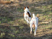 Enlarge photo 18
