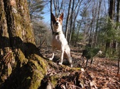 Enlarge photo 23
