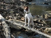 Enlarge photo 24