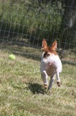 Enlarge photo 11