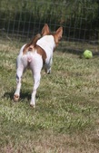 Enlarge photo 12