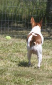 Enlarge photo 13