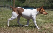 Enlarge photo 15