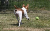Enlarge photo 16