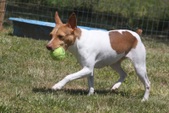 Enlarge photo 22