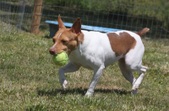 Enlarge photo 23
