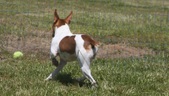 Enlarge photo 10
