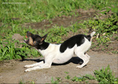 Enlarge photo 4