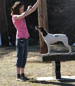Enlarge photo 6