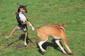 Enlarge photo 19