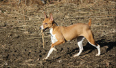 Enlarge photo 15