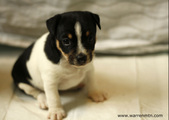 Enlarge photo 14