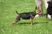 Enlarge photo 14