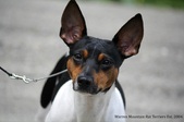 Enlarge photo 16