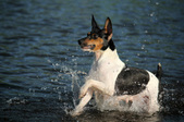Enlarge photo 15