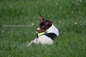 Enlarge photo 11
