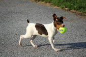 Enlarge photo 9