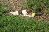 Enlarge photo 6