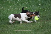 Enlarge photo 7