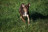 Enlarge photo 15