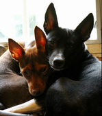 Enlarge photo 10