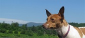 Enlarge photo 17