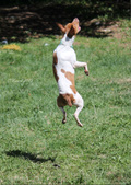 Enlarge photo 10