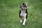Enlarge photo 6