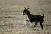 Enlarge photo 11
