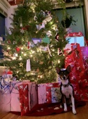 Enlarge photo 2