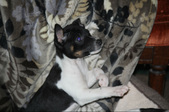 Enlarge photo 19