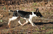 Enlarge photo 11