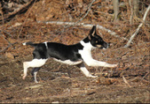 Enlarge photo 10