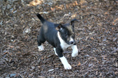 Enlarge photo 22