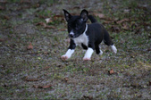 Enlarge photo 20