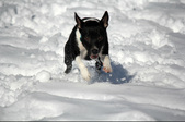 Enlarge photo 4