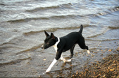 Enlarge photo 13