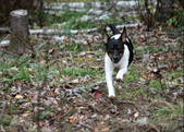Enlarge photo 17