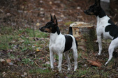 Enlarge photo 16