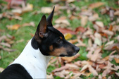 Enlarge photo 12